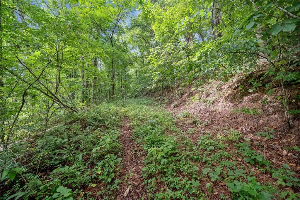 single family residence for sale at 3.11 Acres Cove Road, Jasper, GA 30143 — photo 5