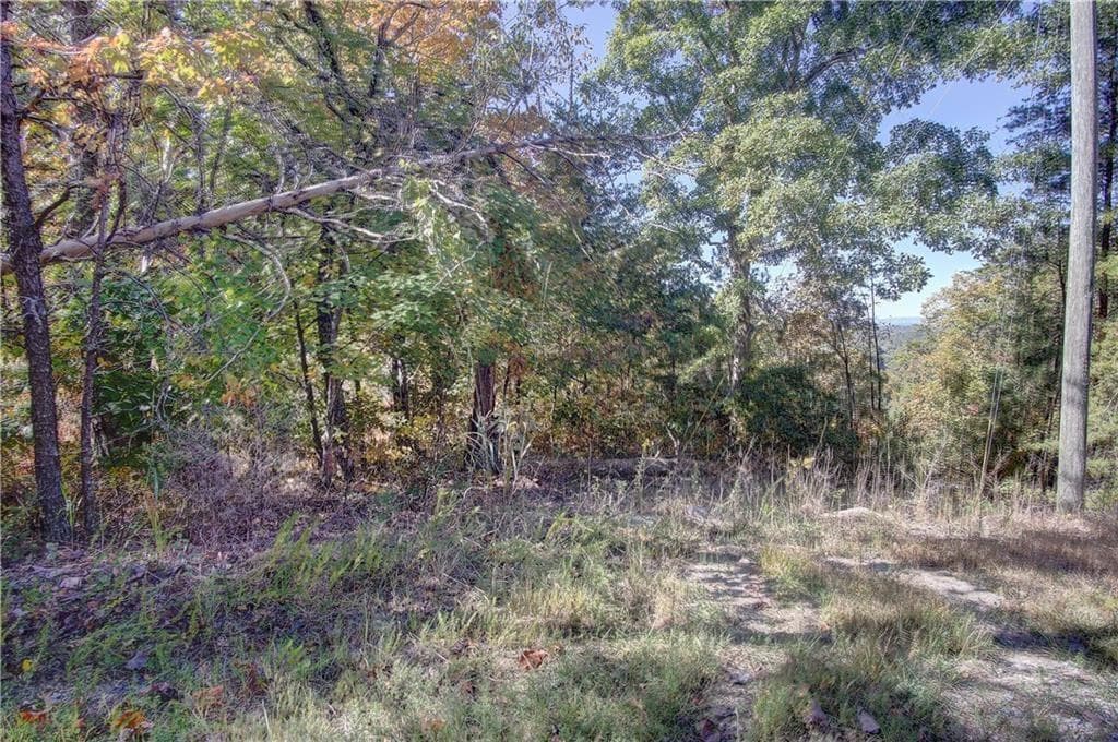 single family residence for sale at 169 Jasmine Drive, Ranger, GA 30734 — photo 2