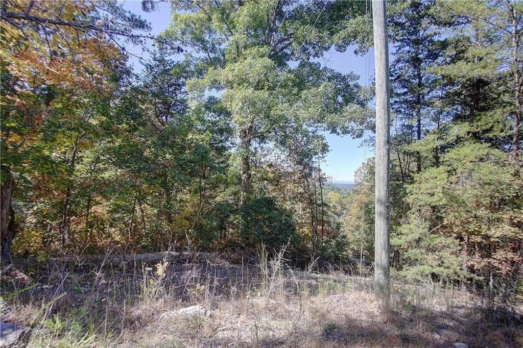 single family residence for sale at 169 Jasmine Drive, Ranger, GA 30734 — photo 4