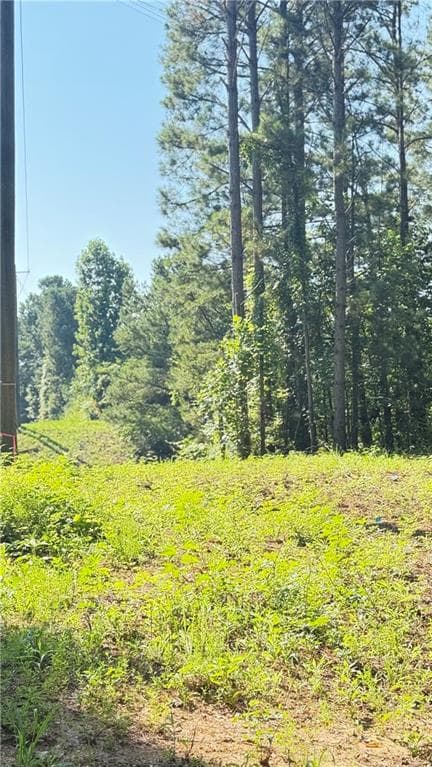 other for sale at 8 Sweetwater Bend, Villa Rica, GA 30180 — photo 4