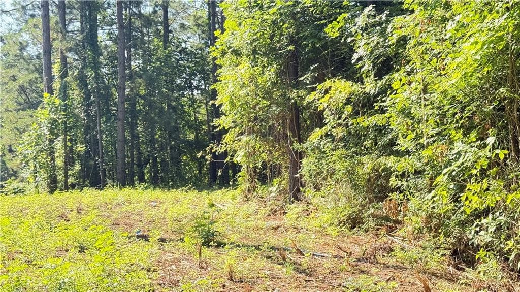other for sale at 8 Sweetwater Bend, Villa Rica, GA 30180 — photo 5