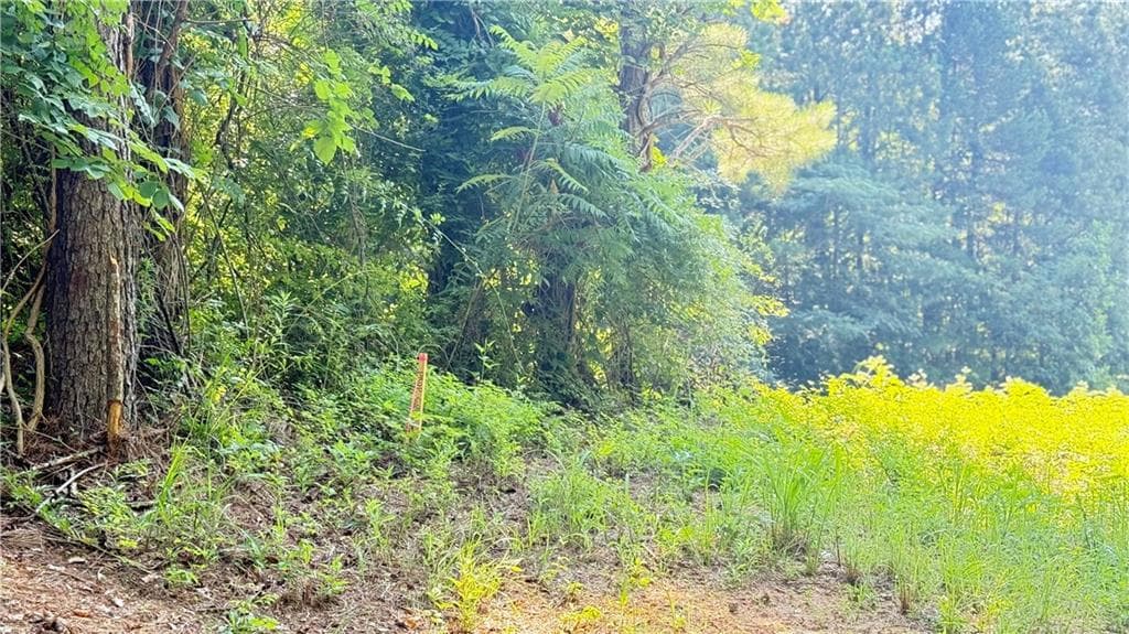 other for sale at 8 Sweetwater Bend, Villa Rica, GA 30180 — photo 6