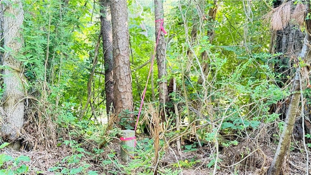 other for sale at 8 Sweetwater Bend, Villa Rica, GA 30180 — photo 7