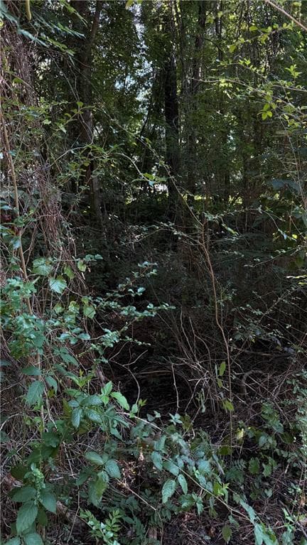 other for sale at 8 Sweetwater Bend, Villa Rica, GA 30180 — photo 10