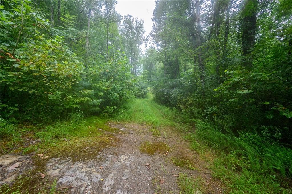 other for sale at 11094 Old 441, Lakemont, GA 30552 — photo 4