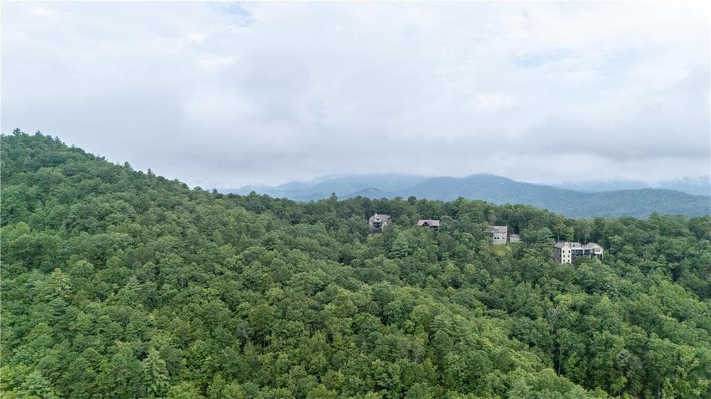 other for sale at 11094 Old 441, Lakemont, GA 30552 — photo 10