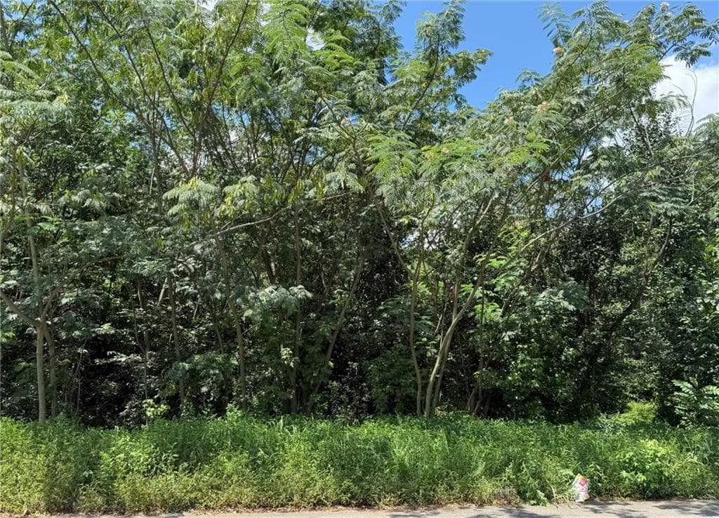 unimproved land for sale at 0 Beeler Drive, Atlanta, GA 30315 — photo 5
