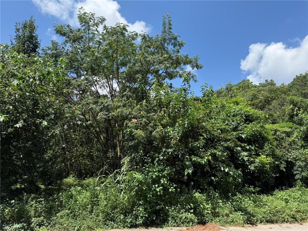 unimproved land for sale at 0 Beeler Drive, Atlanta, GA 30315 — photo 6