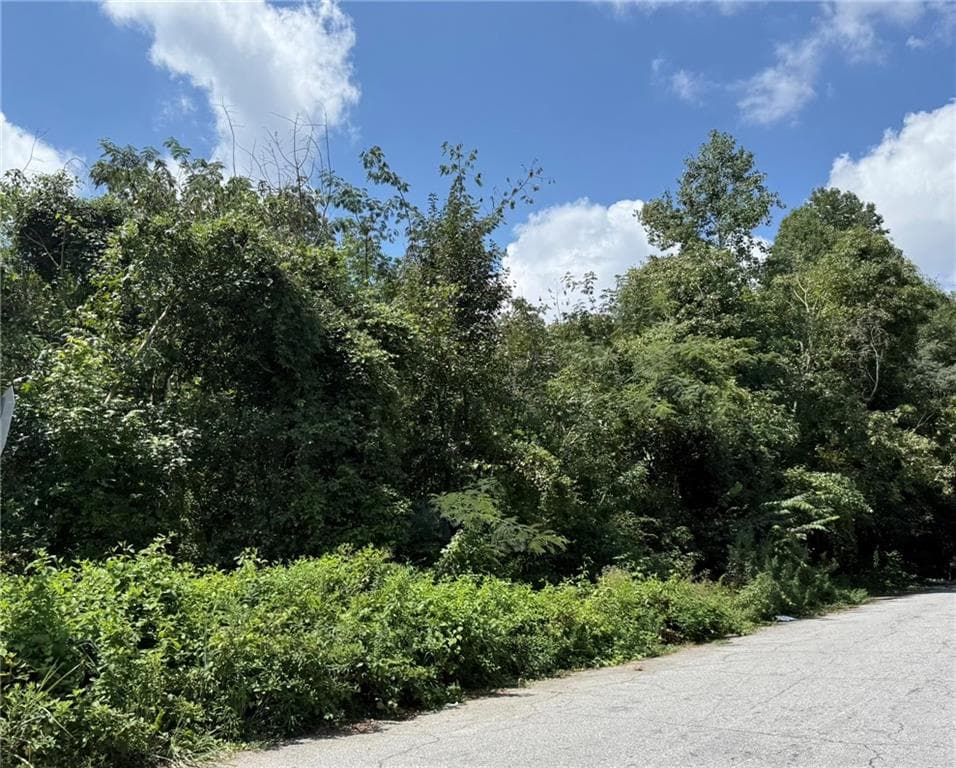 unimproved land for sale at 0 Beeler Drive, Atlanta, GA 30315 — photo 7