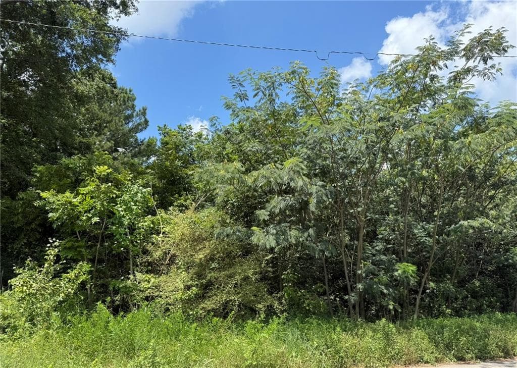 unimproved land for sale at 0 Beeler Drive, Atlanta, GA 30315