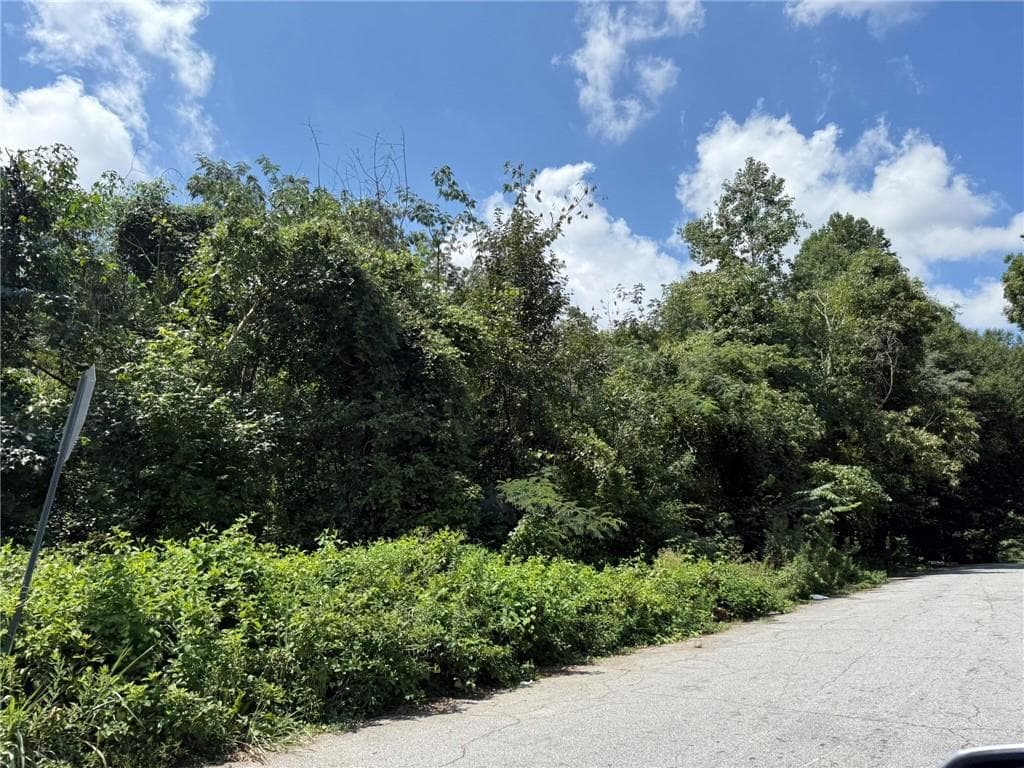 unimproved land for sale at 0 Beeler Drive, Atlanta, GA 30315 — photo 2