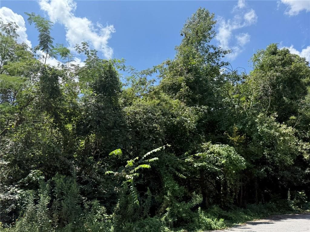 unimproved land for sale at 0 Beeler Drive, Atlanta, GA 30315 — photo 3
