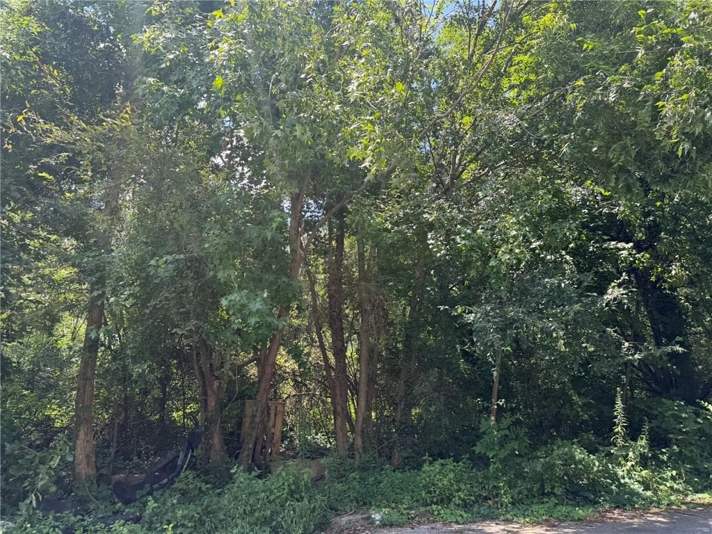 unimproved land for sale at 0 Beeler Drive, Atlanta, GA 30315 — photo 4