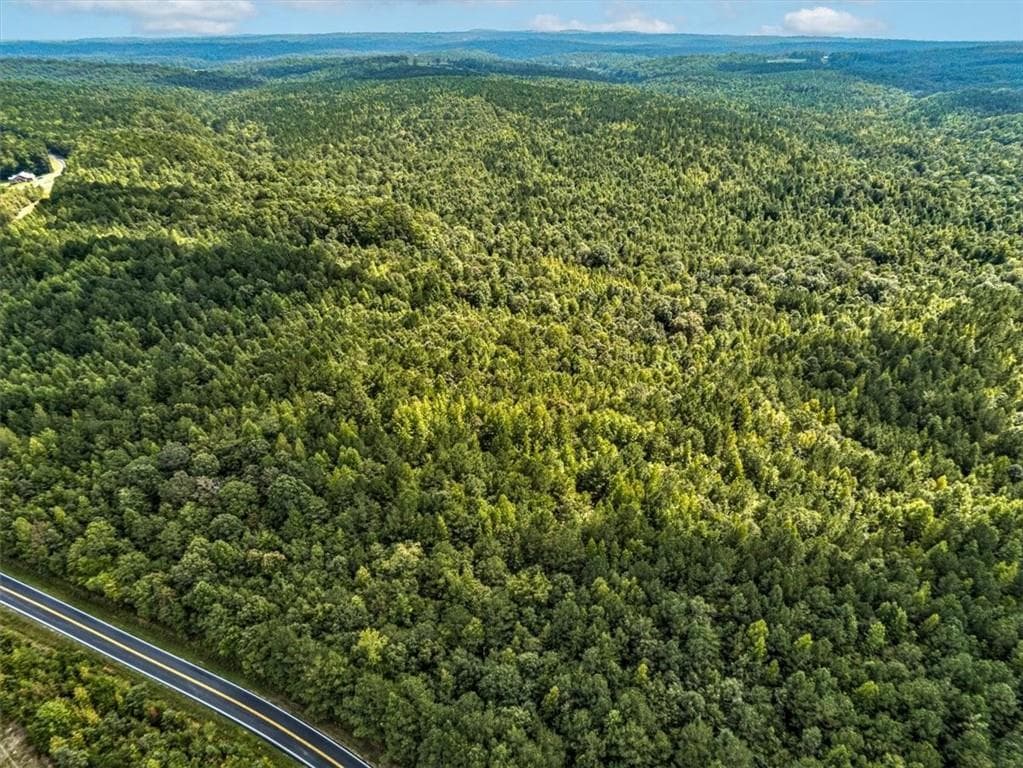 unimproved land for sale at 000 Old Ridgeway Road, Bremen, GA 30110 — photo 2