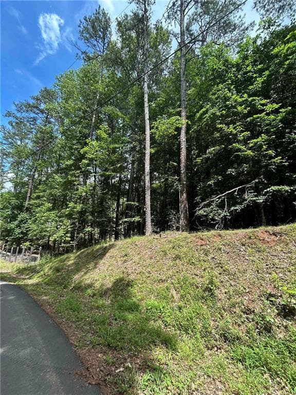 unimproved land for sale at 3223 Hidden Valley Road, Gainesville, GA 30506 — photo 5