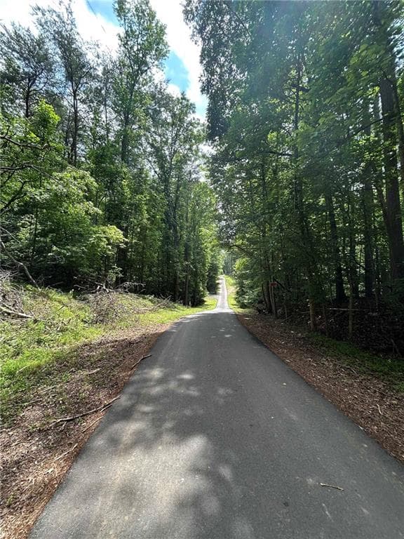 unimproved land for sale at 3223 Hidden Valley Road, Gainesville, GA 30506 — photo 6