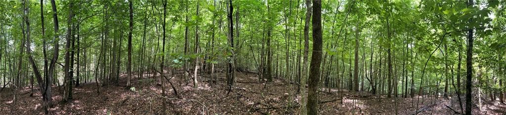 unimproved land for sale at 3223 Hidden Valley Road, Gainesville, GA 30506 — photo 7