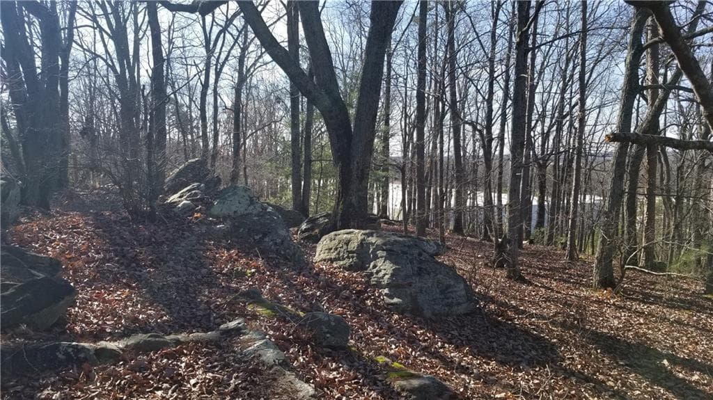 unimproved land for sale at 1785 Plunketts Road, Buford, GA 30518 — photo 2