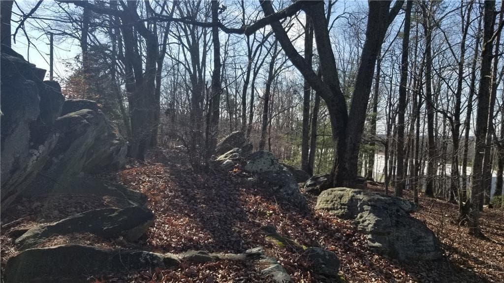 unimproved land for sale at 1785 Plunketts Road, Buford, GA 30518 — photo 3