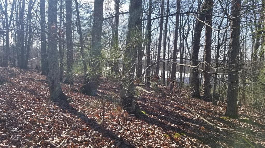 unimproved land for sale at 1785 Plunketts Road, Buford, GA 30518 — photo 5