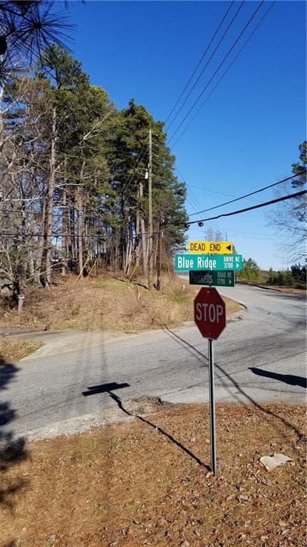 unimproved land for sale at 1785 Plunketts Road, Buford, GA 30518 — photo 6