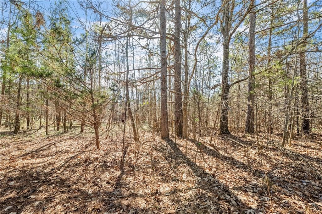 unimproved land for sale at 4 W Farm Road, Jefferson, GA 30549 — photo 5