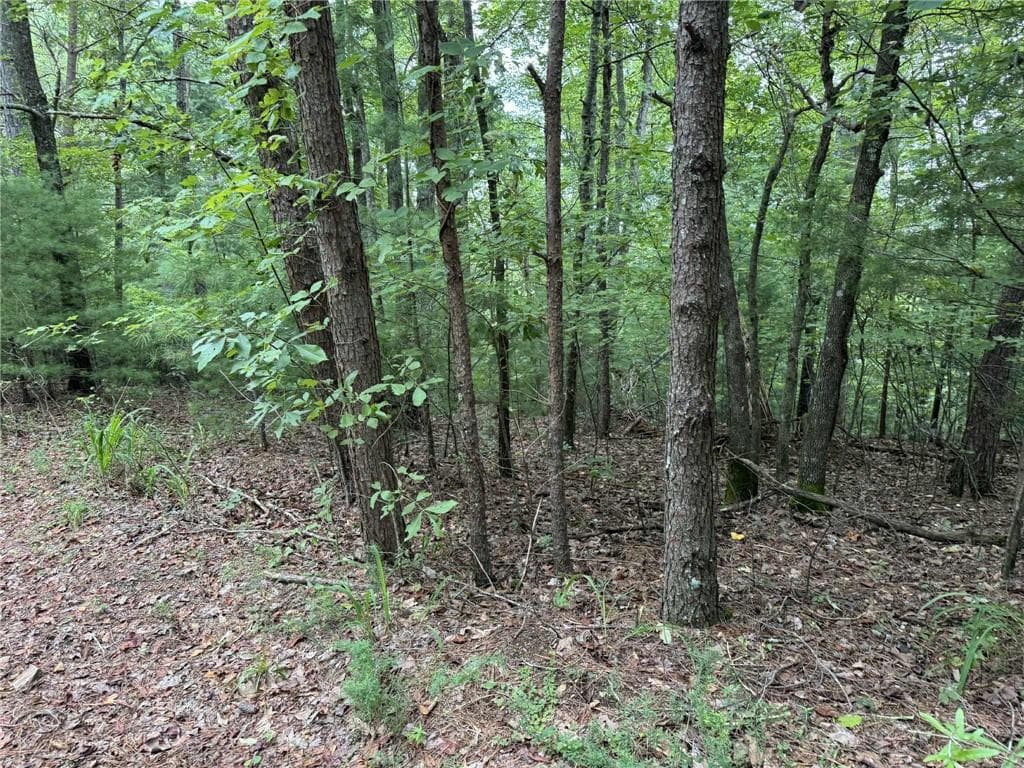 0 Shade Tree, Talking Rock, GA 30175 — most recent listing photo