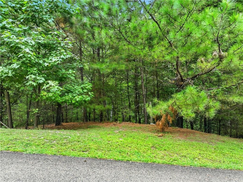 single family residence for sale at Lot268 VistaView Parkway, Jasper, GA 30143 — photo 6