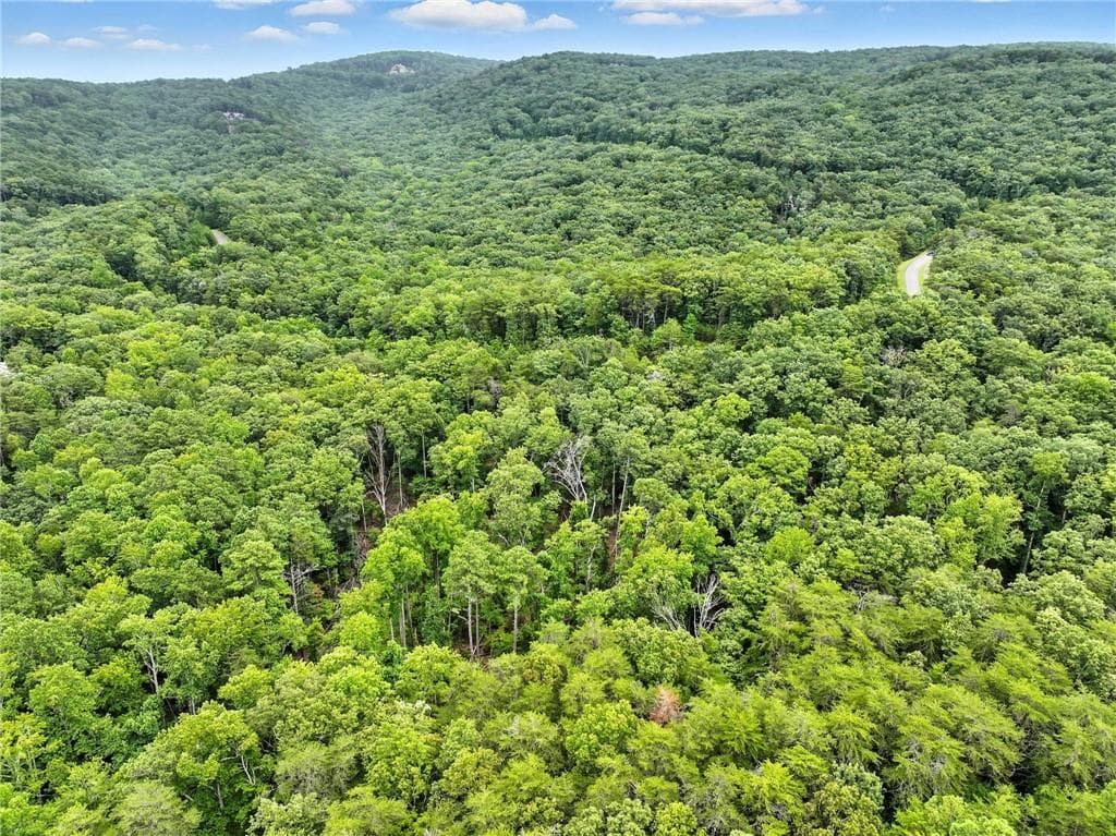 single family residence for sale at Lot268 VistaView Parkway, Jasper, GA 30143 — photo 10
