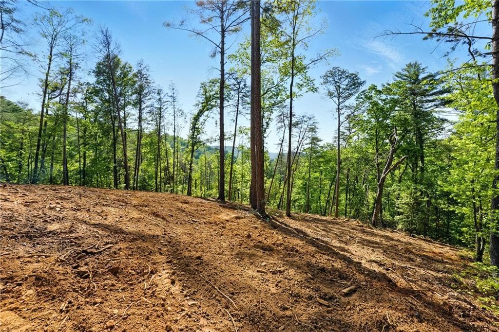 single family residence sold at 0 Dell Moore Road, Marble Hill, GA 30148