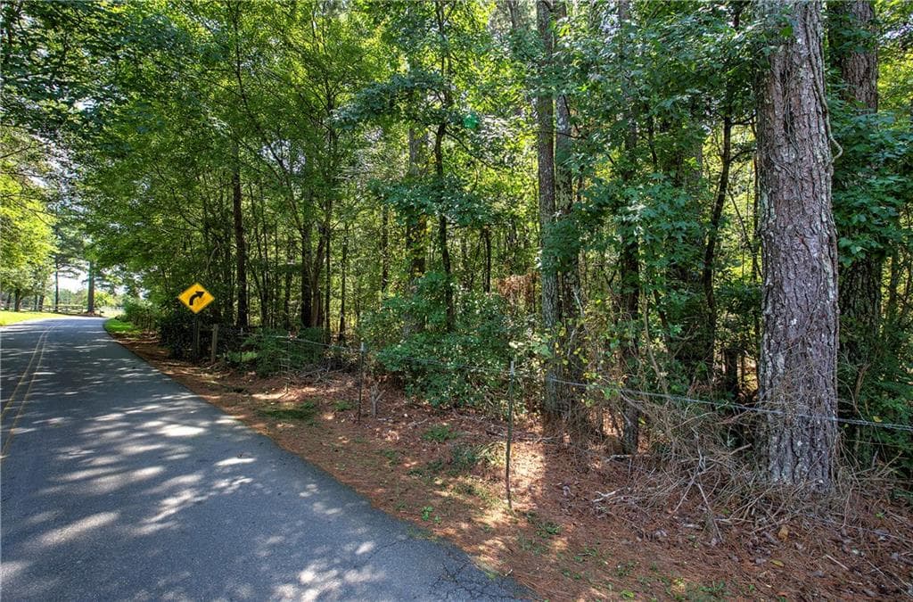 unimproved land for sale at 00 Crowe Springs Spur, Adairsville, GA 30103 — photo 4