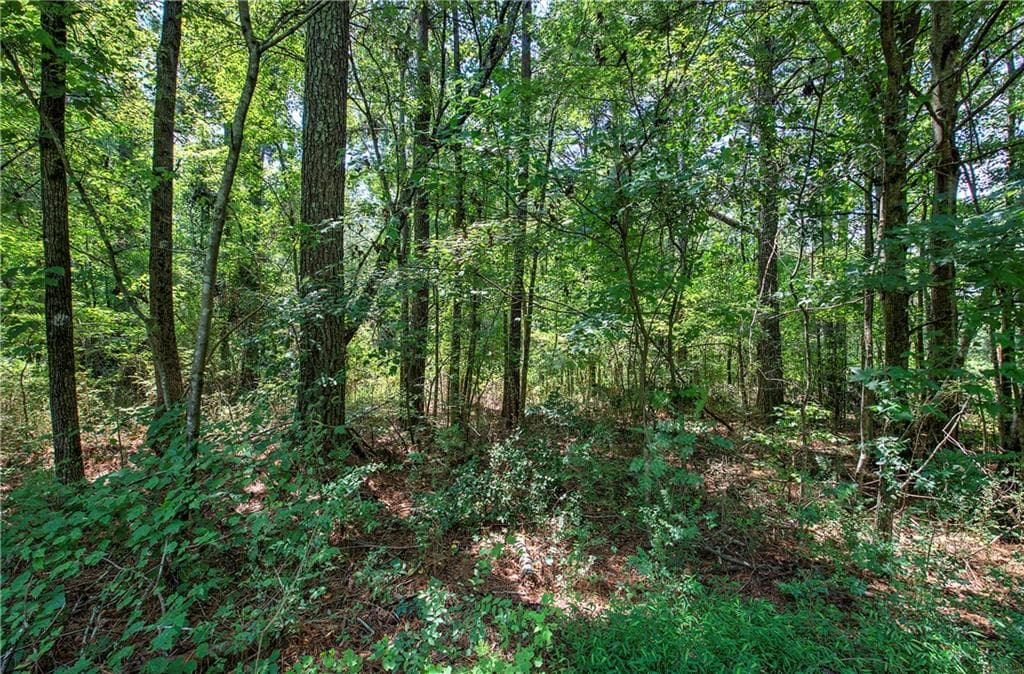 unimproved land for sale at 00 Crowe Springs Spur, Adairsville, GA 30103 — photo 6