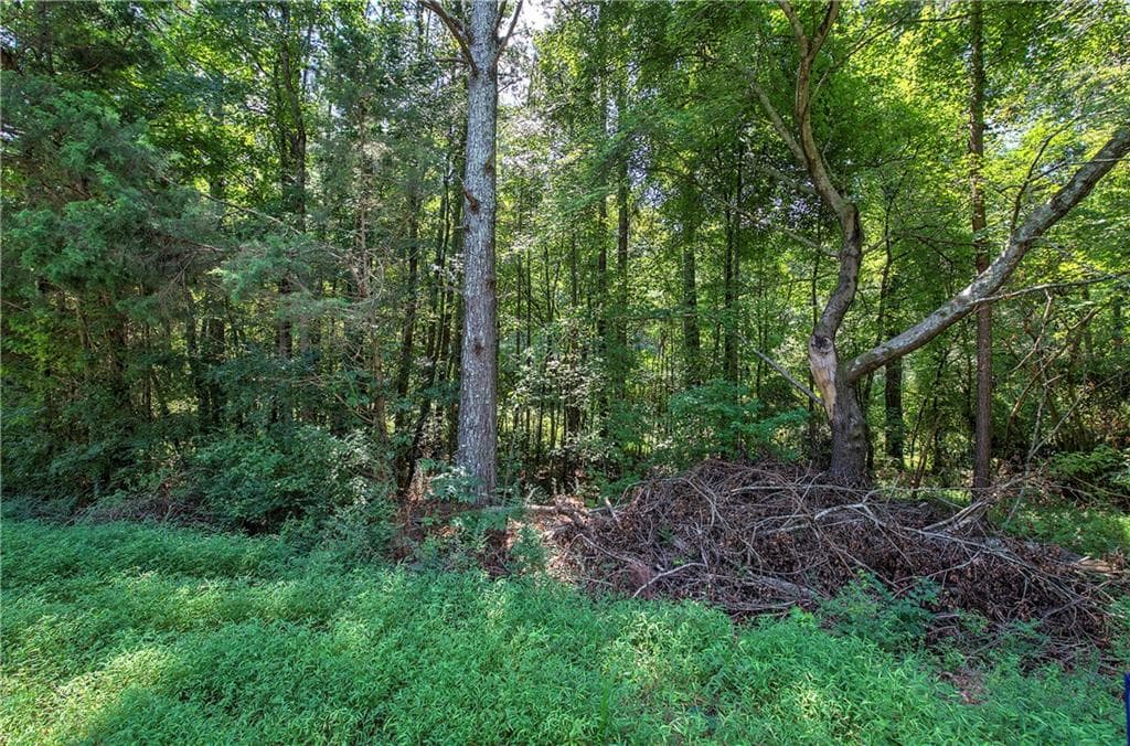 unimproved land for sale at 00 Crowe Springs Spur, Adairsville, GA 30103 — photo 8