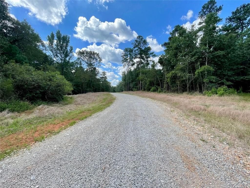 unimproved land for sale at 742 Harmony Gates Drive, Commerce, GA 30530 — photo 10
