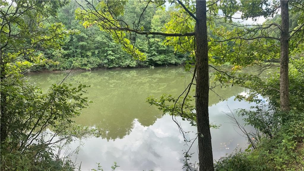 unimproved land for sale at 308 Old Whitestone Road, Talking Rock, GA 30175 — photo 1 of 27