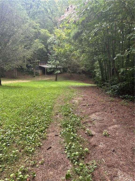 unimproved land for sale at 308 Old Whitestone Road, Talking Rock, GA 30175 — photo 2