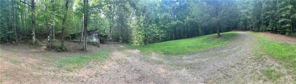 unimproved land for sale at 308 Old Whitestone Road, Talking Rock, GA 30175 — photo 4