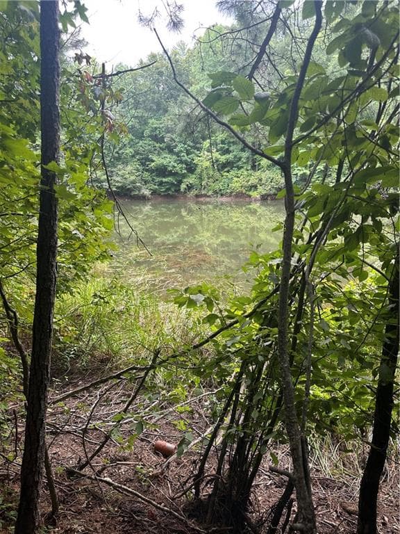 unimproved land for sale at 308 Old Whitestone Road, Talking Rock, GA 30175 — photo 9