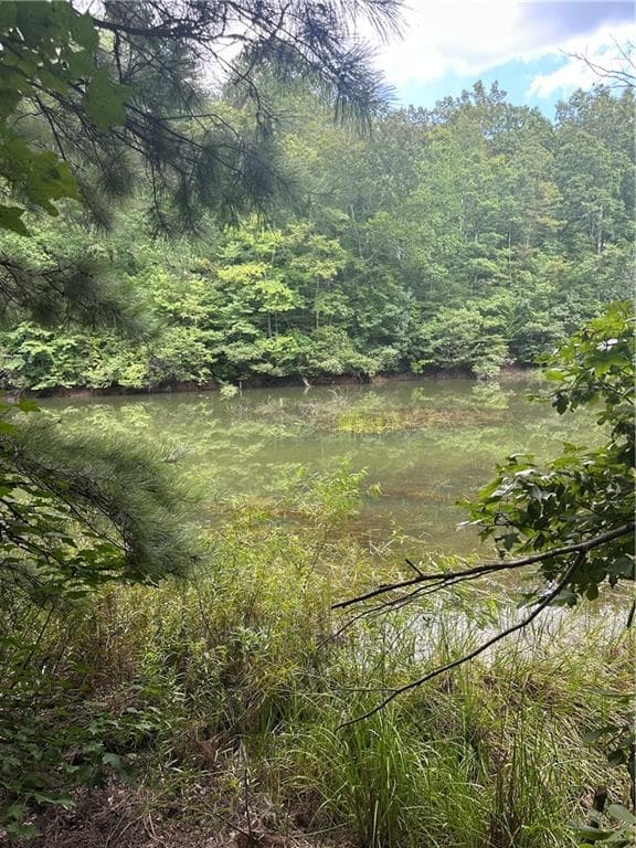 unimproved land for sale at 308 Old Whitestone Road, Talking Rock, GA 30175 — photo 10
