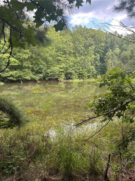 unimproved land for sale at 308 Old Whitestone Road, Talking Rock, GA 30175 — photo 7