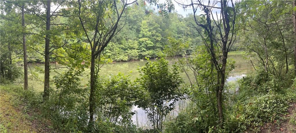 unimproved land for sale at 308 Old Whitestone Road, Talking Rock, GA 30175 — photo 6