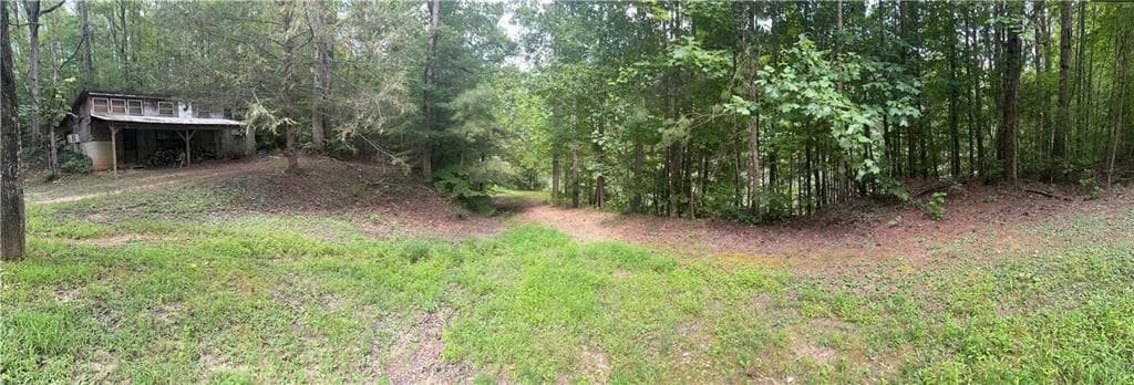 unimproved land for sale at 308 Old Whitestone Road, Talking Rock, GA 30175 — photo 5