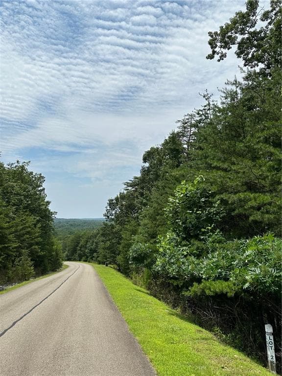 unimproved land for sale at 284 Vistaview Parkway, Jasper, GA 30143 — photo 3