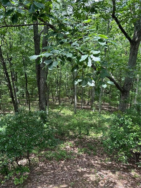 unimproved land for sale at 284 Vistaview Parkway, Jasper, GA 30143 — photo 4