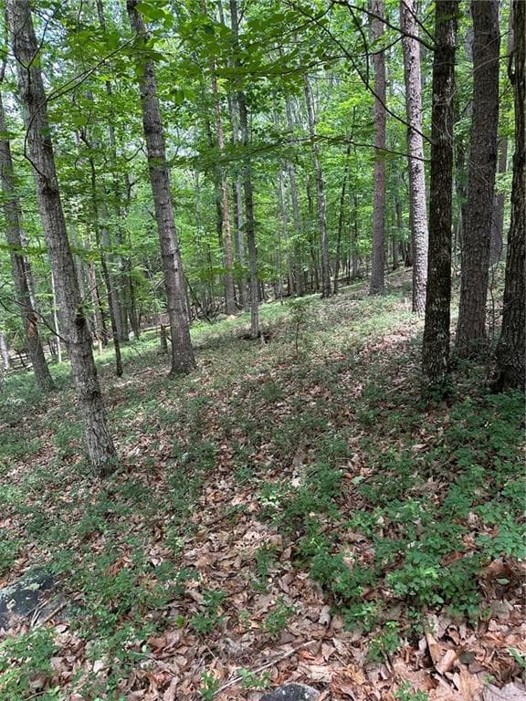 unimproved land for sale at 284 Vistaview Parkway, Jasper, GA 30143 — photo 5