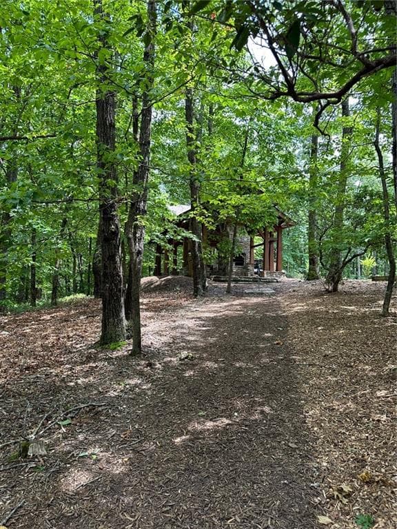 unimproved land for sale at 284 Vistaview Parkway, Jasper, GA 30143 — photo 6
