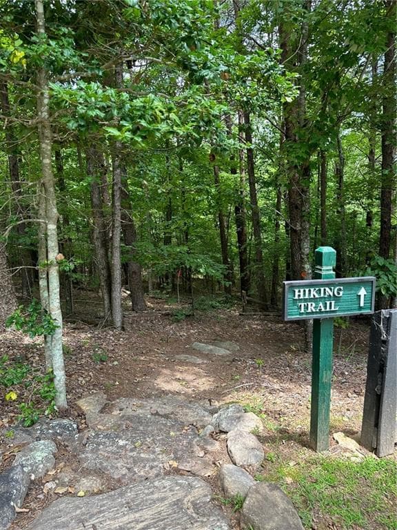 unimproved land for sale at 284 Vistaview Parkway, Jasper, GA 30143 — photo 8