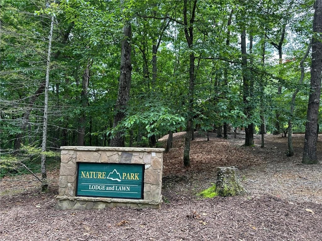 unimproved land for sale at 284 Vistaview Parkway, Jasper, GA 30143 — photo 10