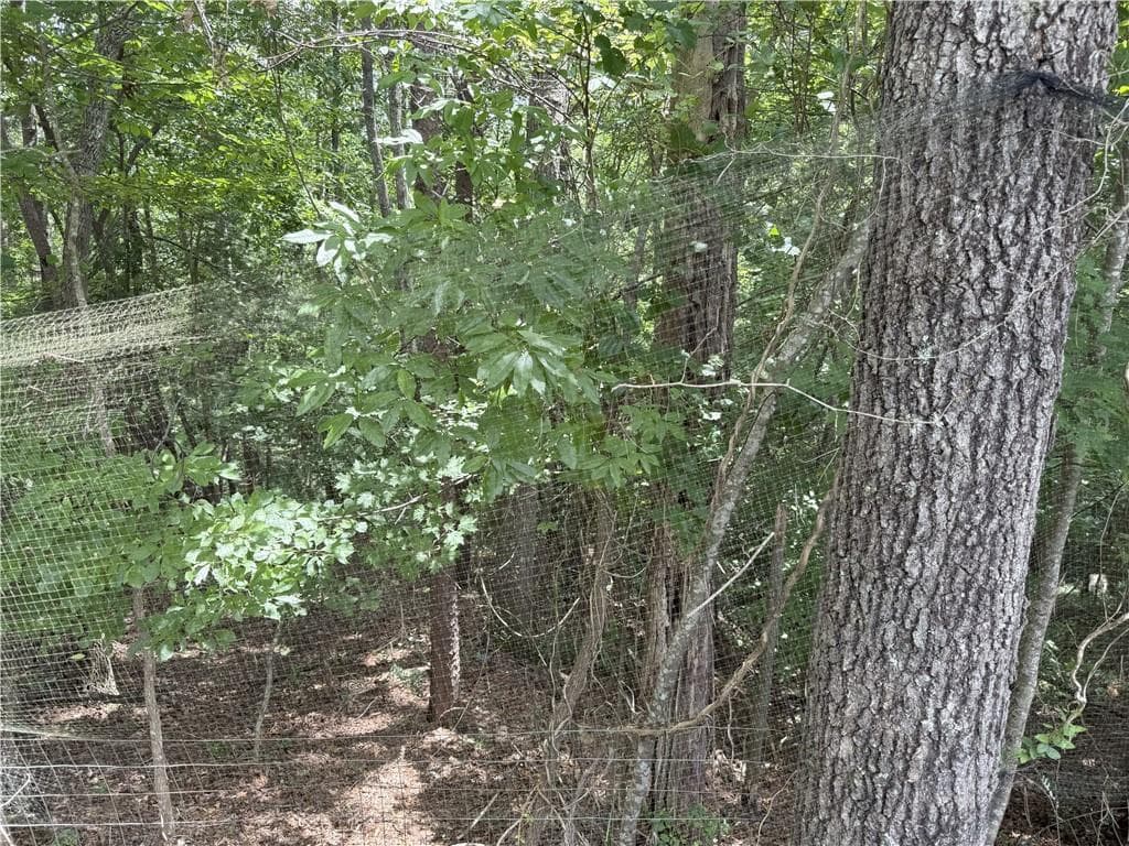 single family residence for sale at 00 Calhoun Road, Dahlonega, GA 30533 — photo 3