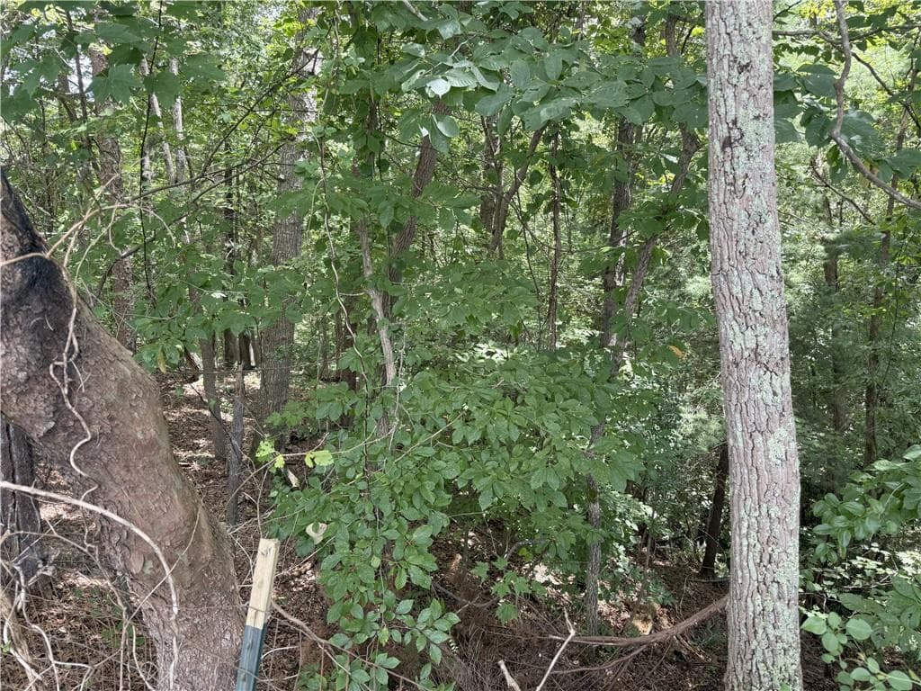 single family residence for sale at 00 Calhoun Road, Dahlonega, GA 30533 — photo 4